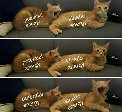 For Science Meme 的图像结果