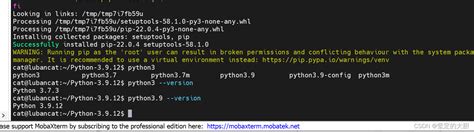 Installing Python 3.9 的图像结果