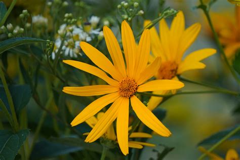 Community Programs — Perkiomen Watershed Conservancy