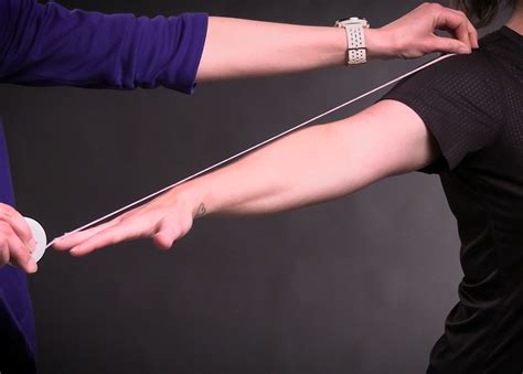 Arm Length and Hand Span – Body Metrics: Beyond Weight Lab Manual