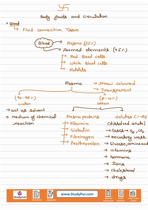 Circulation Class 12 的图像结果