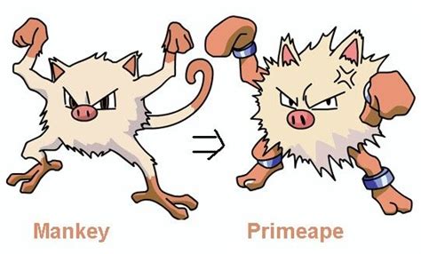 Pokemon Mankey Evolution Chart 的图像结果