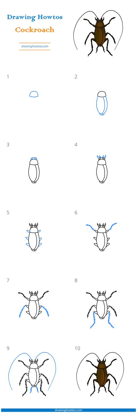Image result for How to Draw a Cockroach Step by Step
