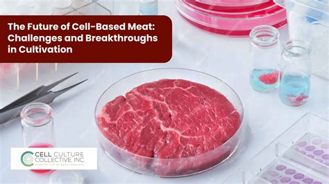 Mastering Cell Culture Techniques: From Basics to Advanced Applications ...