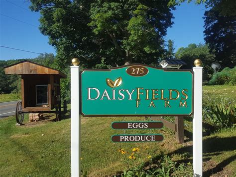 Daisy Field Farm Prices at Betty Thacker blog