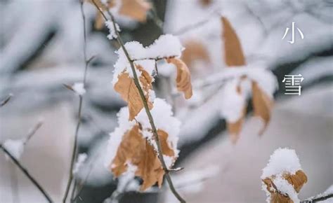 初雪的特殊寓意是啥(明日冬至，这一天下雪有什么预兆？看看老祖宗留下的谚语怎么说) - 【爱喜匠】