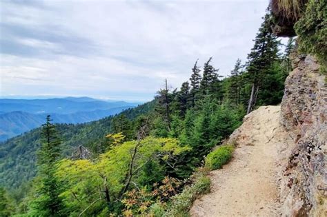 Mount LeConte hike ⛰ What is the best trail to get to Mt LeConte summit ...