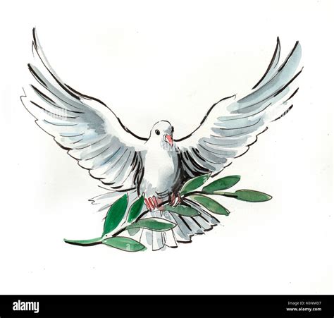 Olive Leaf Symbol Of Peace at Alfredo Grove blog