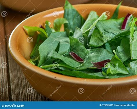 Gomen - Ethiopian Collard Greens Stock Image - Image of national, meal ...