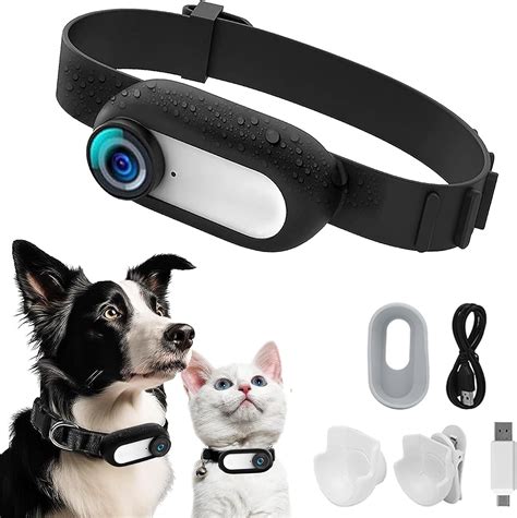 Pet Camera On Collar at Angelina Chomley blog