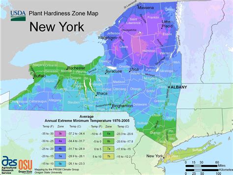 What Gardening Zone is New York City: Discover Ideal Planting Time – Inside Grown