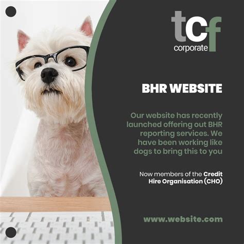 Image result for TCF Insurance