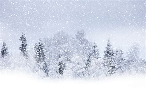 Tomorrow's Weather Québec city (Dec 13): Snow Showers, Cold & Windy - The Weather Network