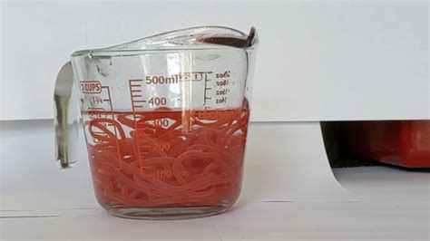 Image result for Youngs Modulus Experiment