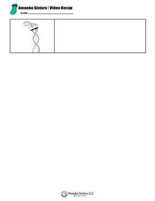 Image result for Classification in Recap