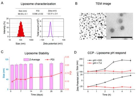 Fabrication of a Charge-Conversion Polymer—Liposome for Enhancing ...