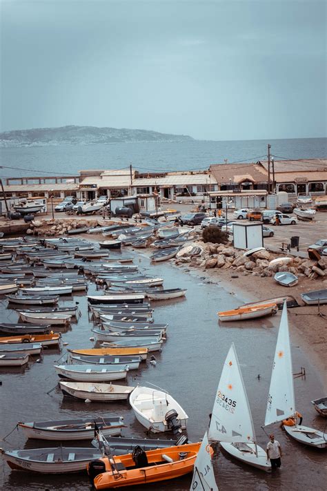 Where to Find Import/Export Trade Data in Algeria | by DataTechnician | Sep, 2024 | Medium