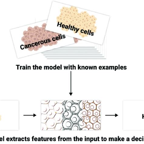 Al Algorithm 的图像结果