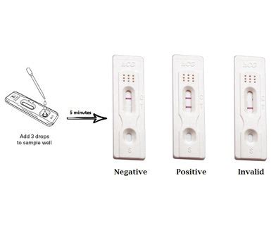 Pregnancy Test Cassette 50 Pcs – saracarestore