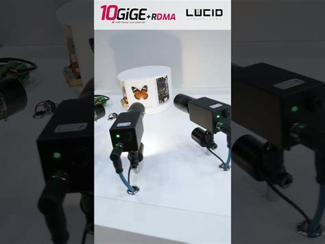 Sick Machine Vision Camera - 5325405 Sick Machine Vision Cameras Trader ...