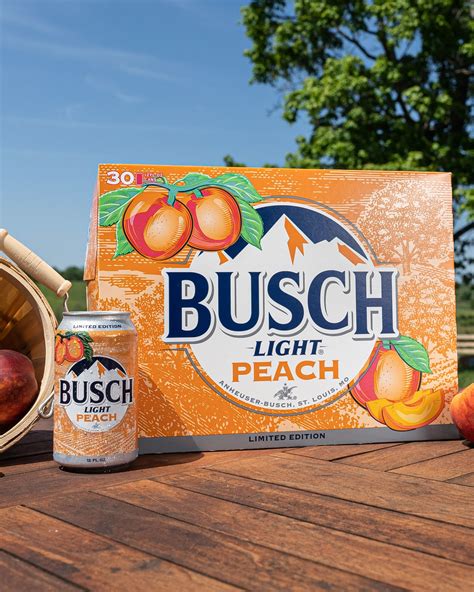 Busch Light Peach is not terrible! You might even like it.