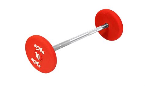 Fixed Barbells Manufacturer Supplier in Delhi India
