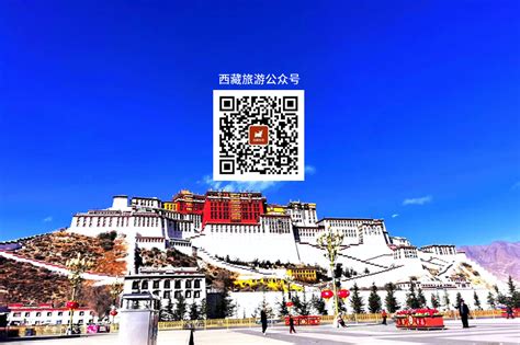 西藏代表团抵京 藏地阳光新闻网