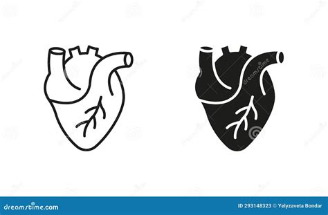 Healthy Cardiovascular Organ Symbol Collection on White Background. Human Heart, Cardiac Muscle ...