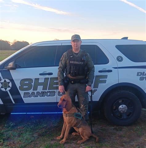 Banks County Sheriff’s Office Bloodhound Team Helps Locate 4 Suspects ...