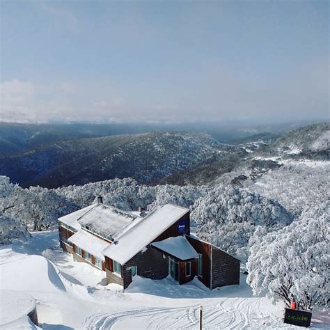 AARDVARK ALPINE LODGE (Mount Hotham) - Lodge Reviews & Photos - Tripadvisor