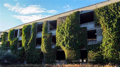 The Bluffs at Playa Vista Parking Structure–Saving Water by Greening the Scenery