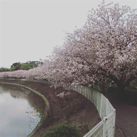 SODEGAURA PARK - All You Need to Know BEFORE You Go 2026 (with Photos ...