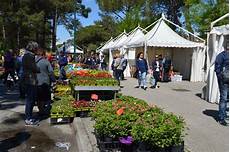 lignano in fiore lignano in fiore 2019 lignano sabbiadoro lignano in fiore lignano in fiore 2019 lignano sabbiadoro