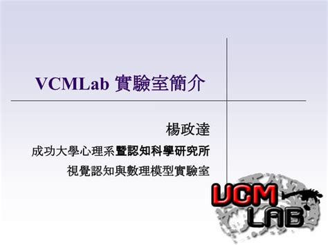 VCM Training 的图像结果