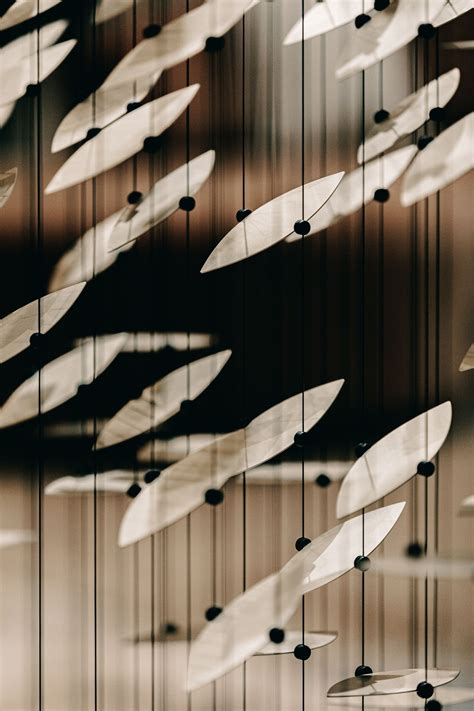 Falling Still | Bouncing light, Things that bounce, Studio