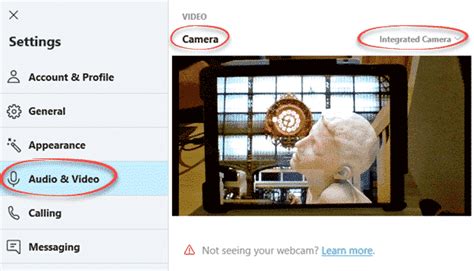 Test Skype Connection 的图像结果
