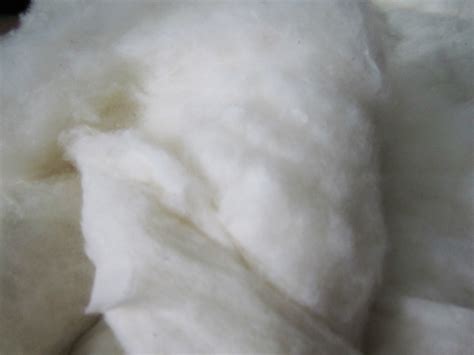供应优质天然棉花/皮棉/加工精梳棉-阿里巴巴