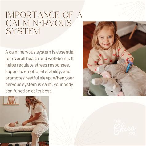 Why Having a Calm and Adaptive Nervous System is Key to Overall Health | The Chiro Co.