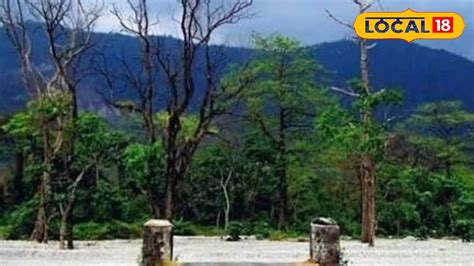 Picnic spot: শীতের শেষবেলায় অফবিট পিকনিক স্পট খুঁজছেন? আপনার জন্য রইল ...