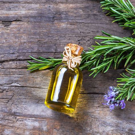Rosemary: Spiritual Meaning - Awakening State