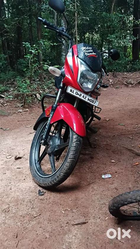 Neat and clean - Motorcycles - 1819581445
