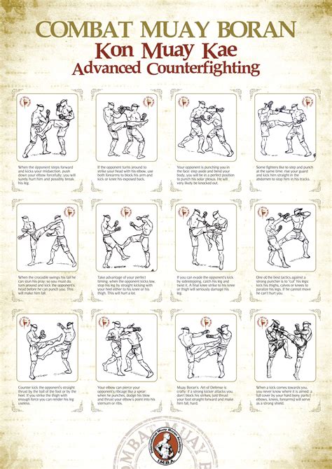 Combat Muay Boran poster (IMBA) | Muay thai training, Martial, Martial ...
