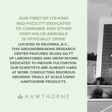 Andrea Mannella posted on LinkedIn