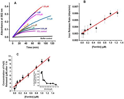 Iron Mobilization from Ferritin in Yeast Cell Lysate and Physiological ...