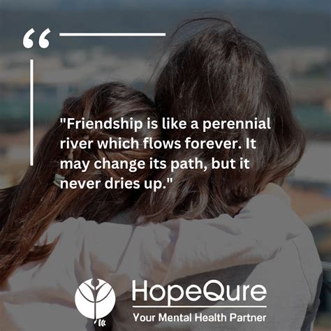 Celebrating Friendship: Best Friend Quotes For You - HopeQure