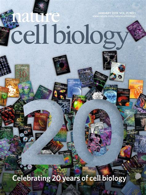 Nature封面图 的图像结果