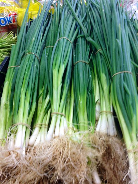 Fresh Green Onions