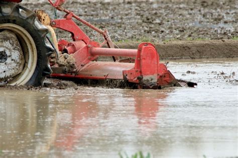 Image result for Java Data Visualisations