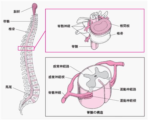 Image result for Selection of Algorithm