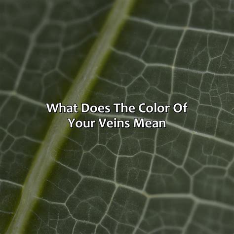 What Does The Color Of The Inside Of Your Eyelid Mean - colorscombo.com